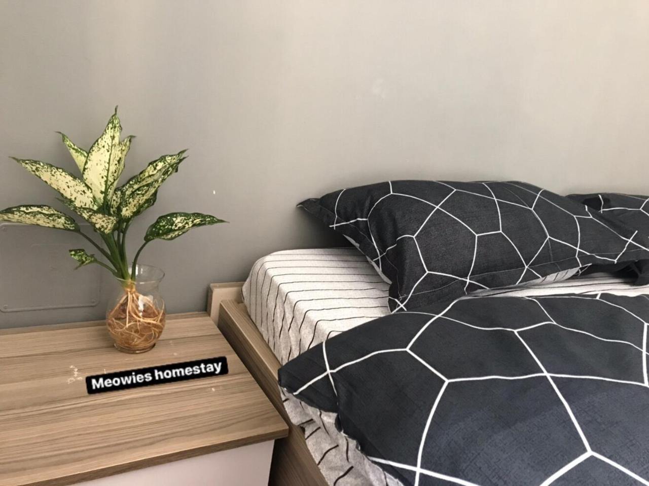 Meowies Homestay ホーチミン市 エクステリア 写真