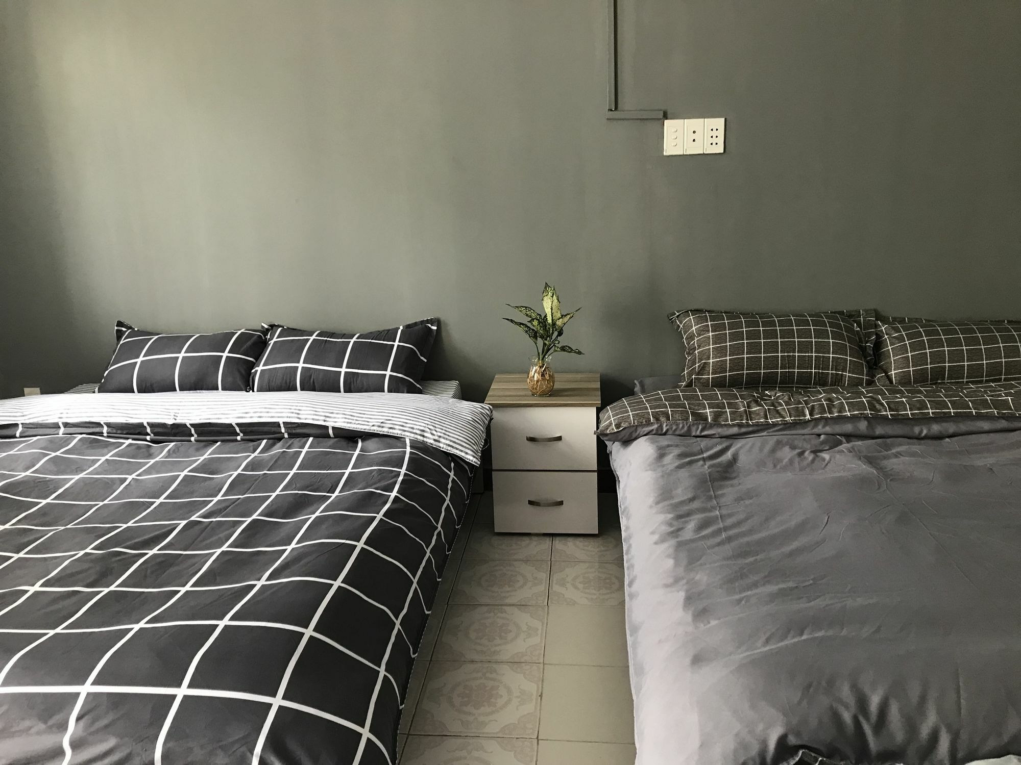 Meowies Homestay ホーチミン市 エクステリア 写真