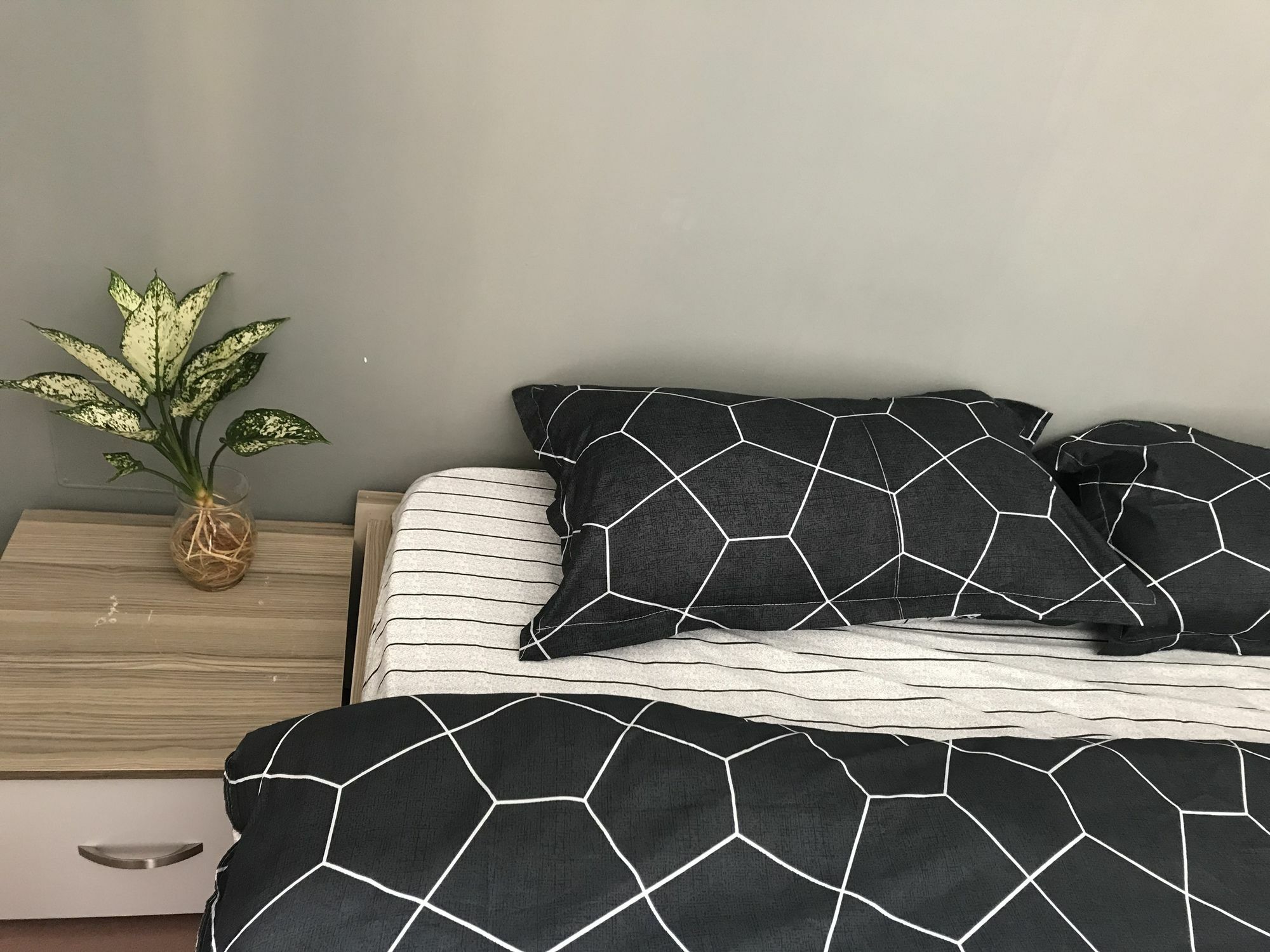 Meowies Homestay ホーチミン市 エクステリア 写真